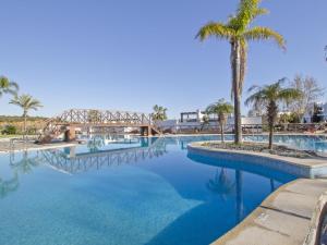 a swimming pool with a palm tree and a bridge at Las Terrazas de Santa Clara in Marbella