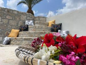 Fotografie z fotogalerie ubytování Kalithea Studio 2 v destinaci Palekastro