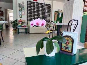 Posezení v ubytování Hotel Goldene Rose