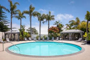 uma piscina com cadeiras e palmeiras em Portola Hotel & Spa em Monterey