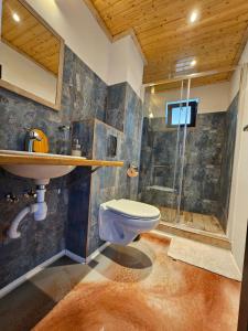 uma casa de banho com um WC, um lavatório e um chuveiro em Casuta Noastra - Sulina em Sulina