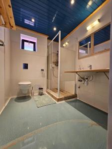 a bathroom with a shower and a toilet and a sink at Casuta Noastra - Sulina in Sulina