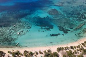 an aerial view of a beach and the ocean at Villa Eden, à 400 mètres de la plage du Souffleur in Port-Louis