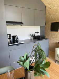 cocina con encimera y mesa con planta en EuroParcs De Wiedense Meren, en Wanneperveen