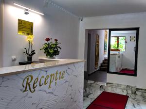 - un hall avec un comptoir de réception et un miroir dans l'établissement Pension Casa Samurai, à Braşov