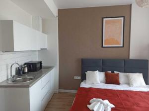 um quarto com uma cama e uma pia em Cozy Studio Swimming Pool And Jacuzzi em Batumi