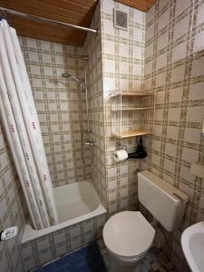 a bathroom with a toilet and a tub and a sink at Haus Stiafei in Schneizlreuth