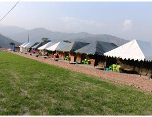 a row of tents with tables and chairs in a field at Sumeru Camp,Barkot in Barkot