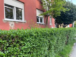 a hedge in front of a red building with two windows at Jura in Zagreb