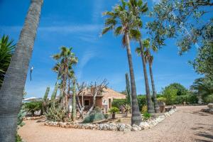 a house surrounded by palm trees on the beach at Sa Marina des torrent - Grupo Berna in Ses Salines