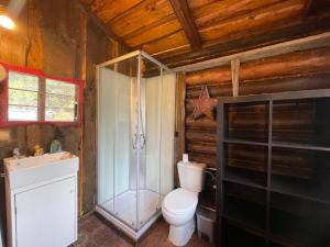 łazienka z toaletą i prysznicem w obiekcie Casa Fidelina IV Miraflores de la Sierra w mieście Miraflores de la Sierra
