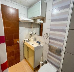 Kuchyň nebo kuchyňský kout v ubytování LEVANT HOTEL&APARTS