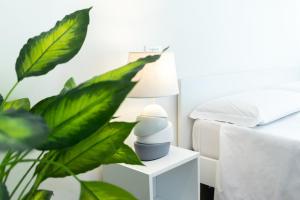 een nachtkastje met een lamp en een plant bij suebi rooms in Termoli