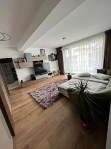 um quarto com uma cama e uma grande janela em Royal Class Apart Complex Uno Residence em Brasov