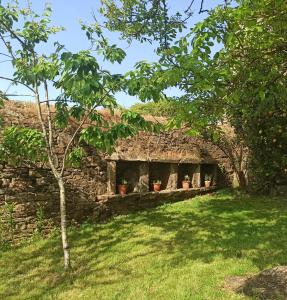 um edifício de pedra com vasos de plantas num quintal em A casa do campo em Zas