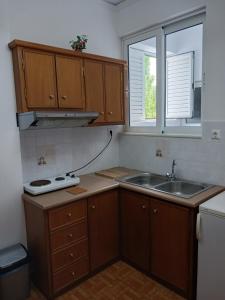 Kuchyň nebo kuchyňský kout v ubytování P&G APARTMENTS