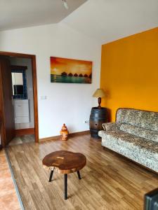 a living room with a couch and a coffee table at Casinha da Ladeira 3360 in Penacova