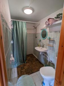 a bathroom with a shower and a toilet and a sink at Mereääre in Haapsalu