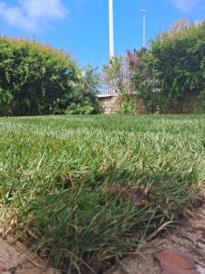 a patch of grass in a field with trees at Villa Rossi in Polignano a Mare