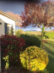 a garden with colorful bushes and a house at Mas provençal avec vue sur la Sainte Victoire in Aix-en-Provence