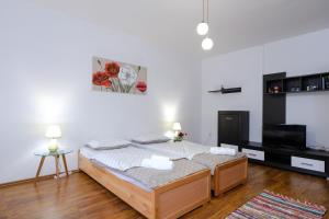 een slaapkamer met een bed en een flatscreen-tv bij The Cosmic Gate 3 in Biskupići