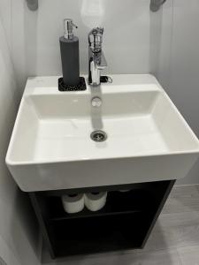 lavabo blanco en un baño con estante negro en Mobilna hiška Hupi, en Velenje