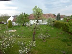 Paesaggio naturale nelle vicinanze of country house