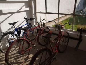 Attività di ciclismo presso the country house o nelle vicinanze