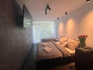 een slaapkamer met een bed en een raam bij Apartament Ustroń in Ustroń