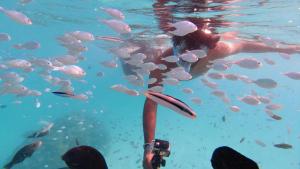 拉斯杜環礁的住宿－Jerrys Dive Lodge Rasdhoo，水中的人,有一群鱼