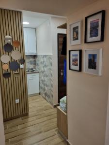 a room with a hallway with a door and a kitchen at Apartman DoDoLuLu in Belgrade