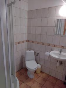 a bathroom with a toilet and a sink at Zajazd nad stawami in Uherce Mineralne (7)