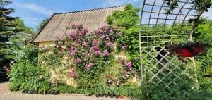 Billede fra billedgalleriet på Holiday Home near sea i Odessa