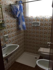 a bathroom with a shower and a sink and a toilet at Albergo Ristorante Pineta in Collio