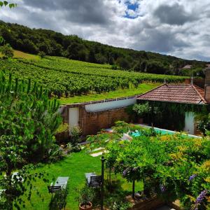 un jardín con sillas, un edificio y un viñedo en La petite madeleine - Chambre d'hôtes & spa, en Burgy