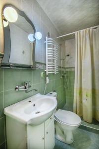 La salle de bains est pourvue d'un lavabo, de toilettes et d'un miroir. dans l'établissement Penzion Deny, à Ždiar