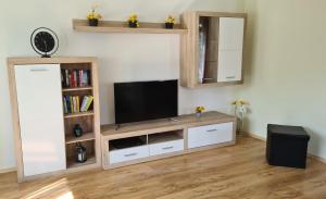 a living room with a television on a wooden entertainment center at Ferienwohnung Auszeit in Tholey
