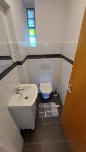 a small bathroom with a sink and a toilet at Bruchköbel 2 auch für Monteure in Bruchköbel