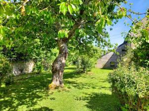 Galeriebild der Unterkunft Heritage stone house BnB with Gourmet Breakfast - Chambres d'hôtes de charme entre Bayeux et les plages du débarquement in Sommervieu