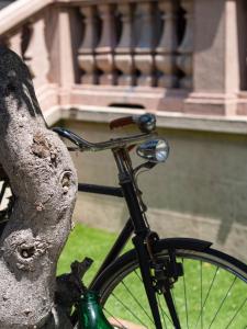 una bicicleta estacionada junto a un árbol al lado de un edificio en Dimora NiLu' en Margherita di Savoia
