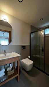 een badkamer met een wastafel, een toilet en een spiegel bij Mimoza Hotel in Oludeniz