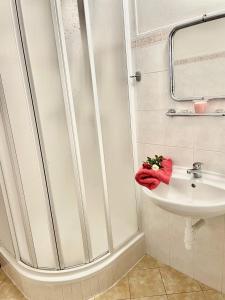 ein Bad mit einer Dusche und einem Waschbecken in der Unterkunft Hotel a Penzion PEGAS in Vlachovice