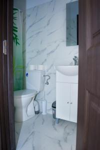 a white bathroom with a toilet and a sink at LUXURY ERK in Călimăneşti