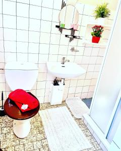 Hotel a Penzion PEGAS في Vlachovice: حمام مع مرحاض ومغسلة