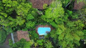 an overhead view of a swimming pool in a forest at Whispering House in Tangalle