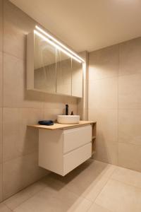 W łazience znajduje się umywalka i lustro. w obiekcie Nordic Host - Dronningens Gate 12 w Oslo