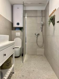 a bathroom with a shower and a toilet at Apartmani Agora in Betina