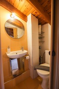 a bathroom with a sink and a toilet and a mirror at Delmare Olive beach house II in Yerakiní