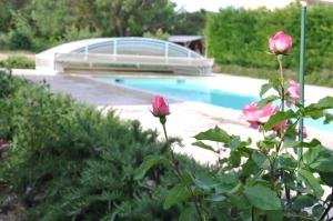 uma piscina com uma rosa rosa num jardim em la ferme de tonton Jules 2 em Entraigues-sur-la-Sorgue