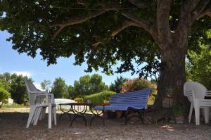 uma mesa de piquenique e cadeiras debaixo de uma árvore em la ferme de tonton Jules 2 em Entraigues-sur-la-Sorgue